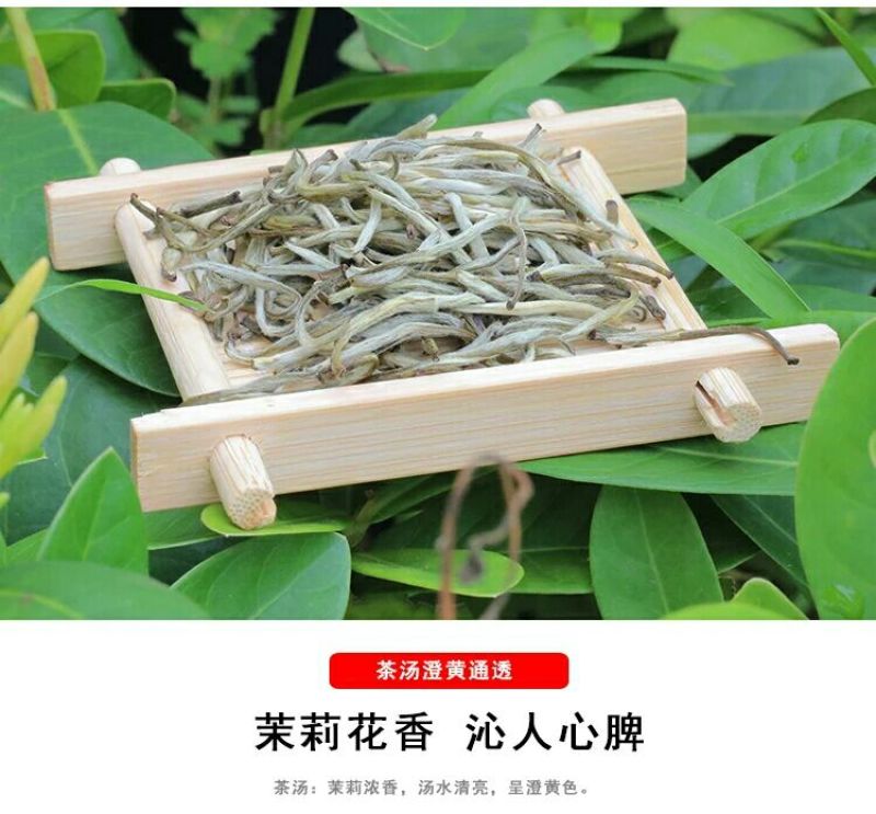 一级茶王茉莉花茶金针茶王广西横县茉莉花金针王