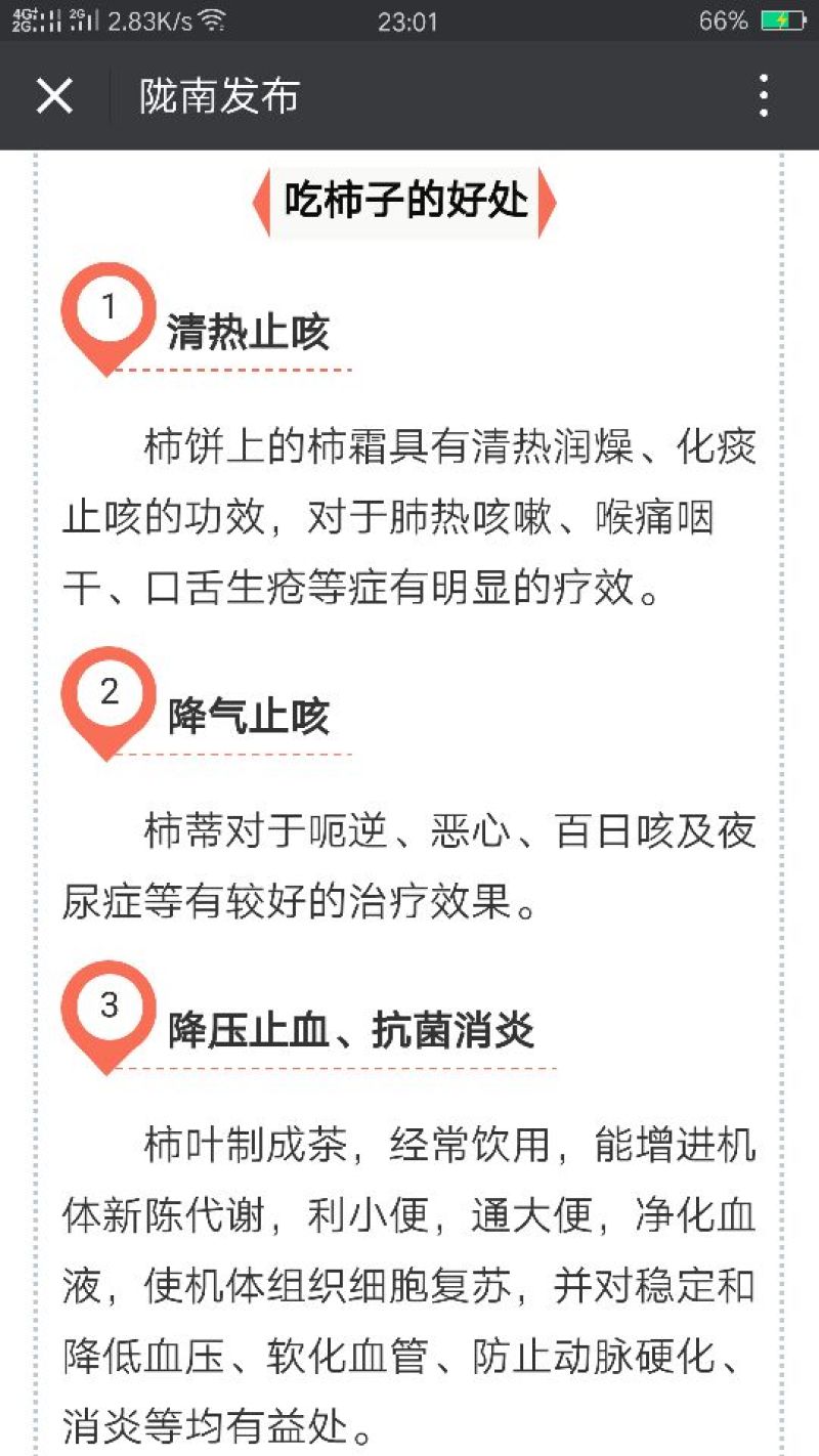 柿饼1~2两
