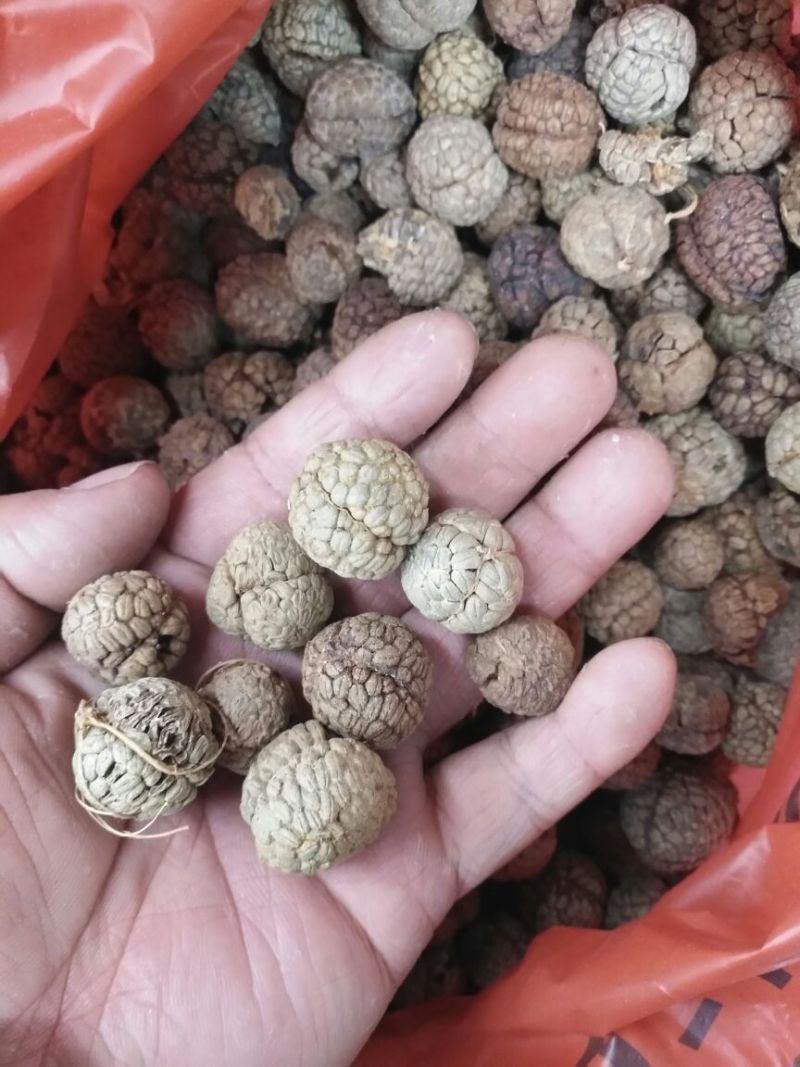 草豆蔻海南1公斤起批无硫***不包邮只做正品