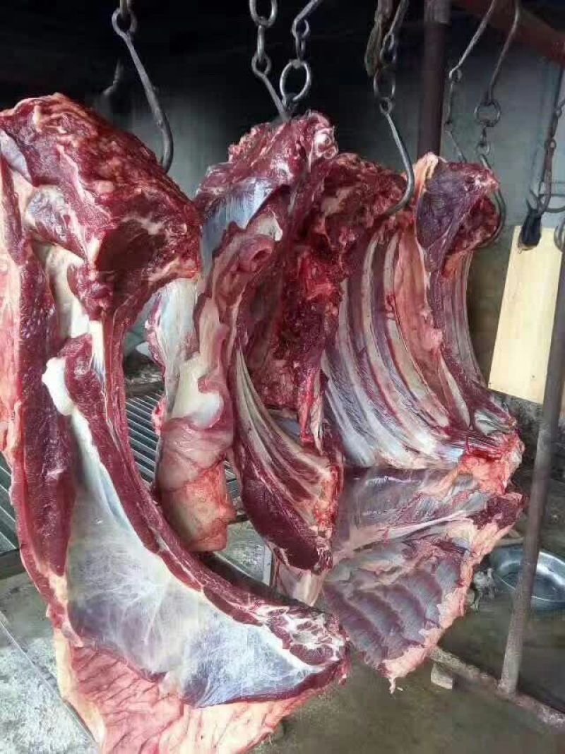 鲜驴肉全驴熟驴肉驴肠可真空包装礼盒装货真价实