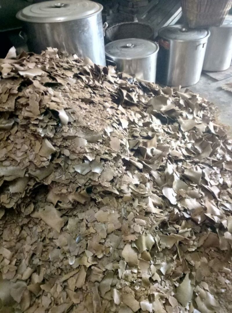 菜籽饼加工利用