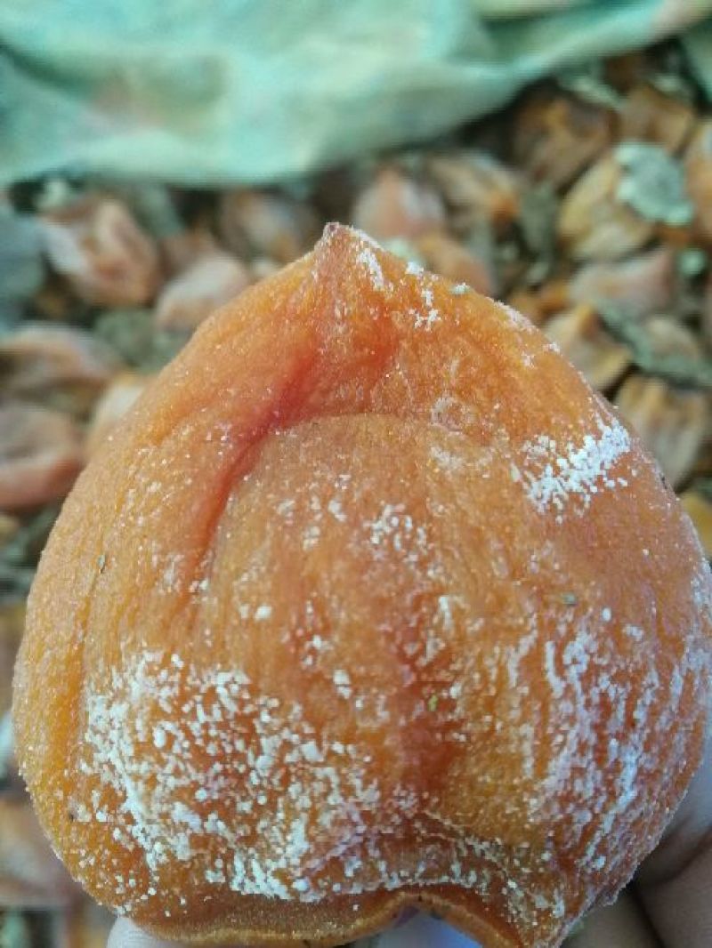 柿饼预售2两大果