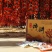 柿饼预售2两大果