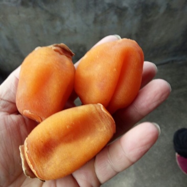 柿饼1~2两