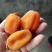 柿饼1~2两