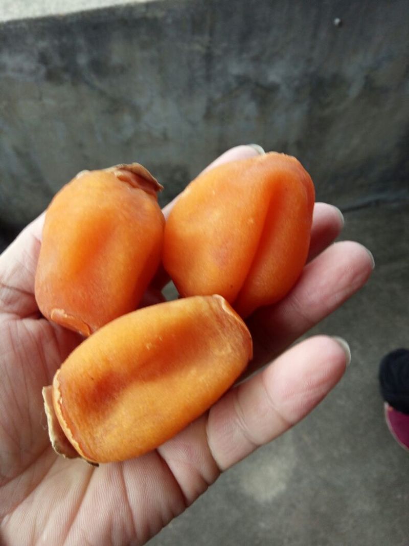 柿饼1~2两
