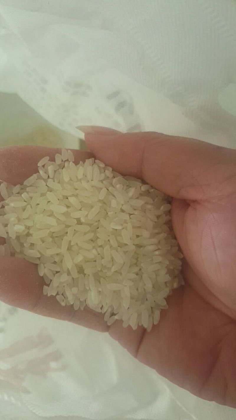 稻花香大米一级新米