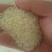 稻花香大米一级新米