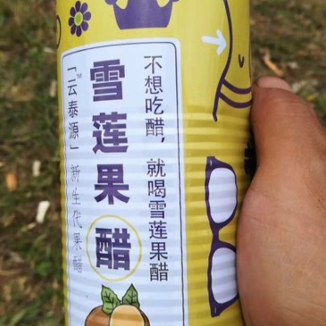 雪莲果3两以上