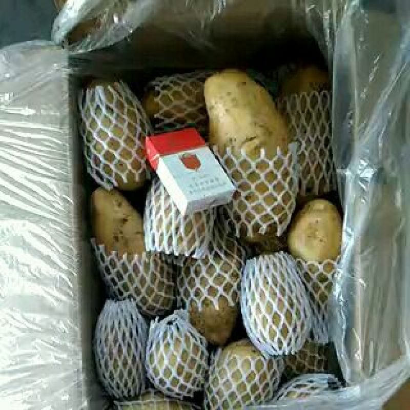 荷兰十五土豆精品四两无黑心无芽