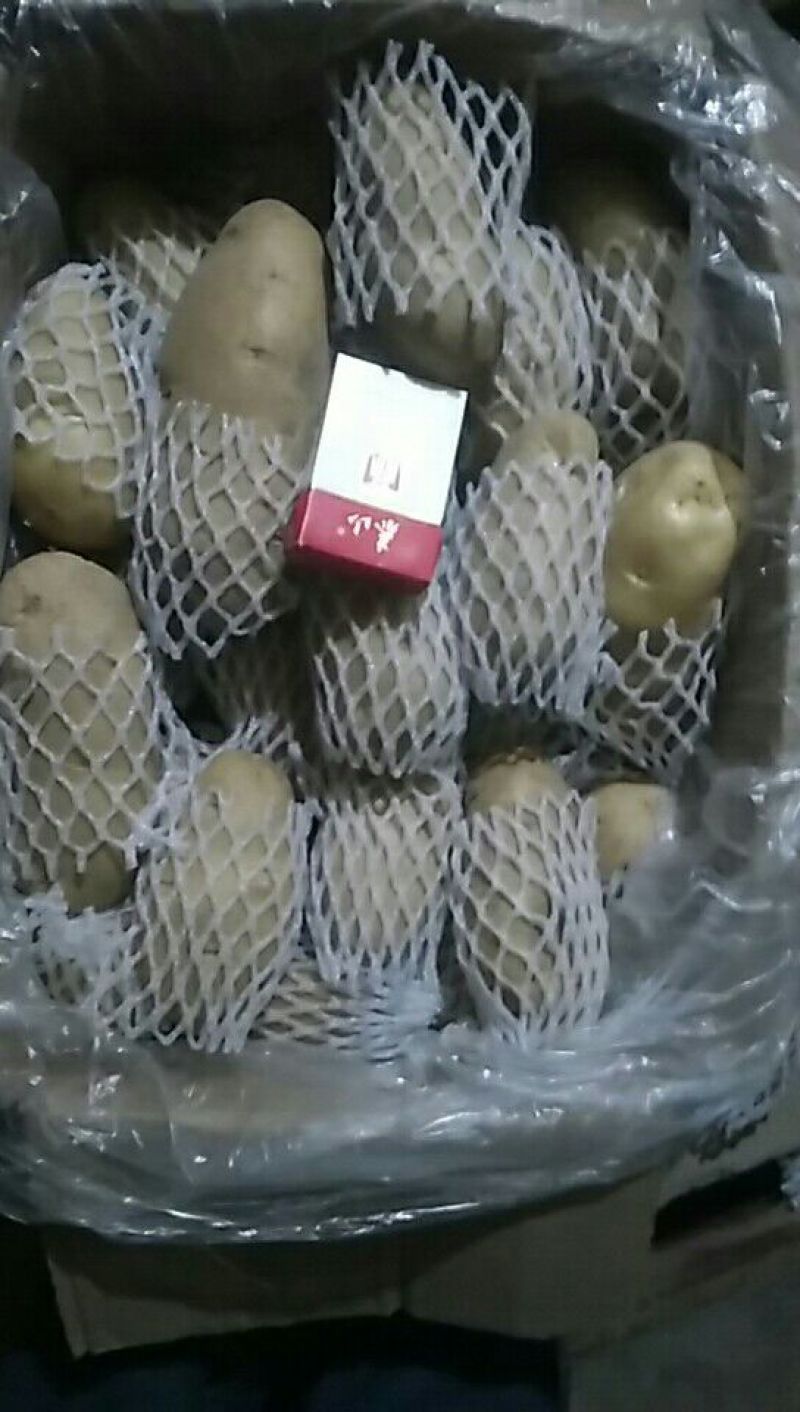 荷兰十五土豆精品四两无黑心无芽
