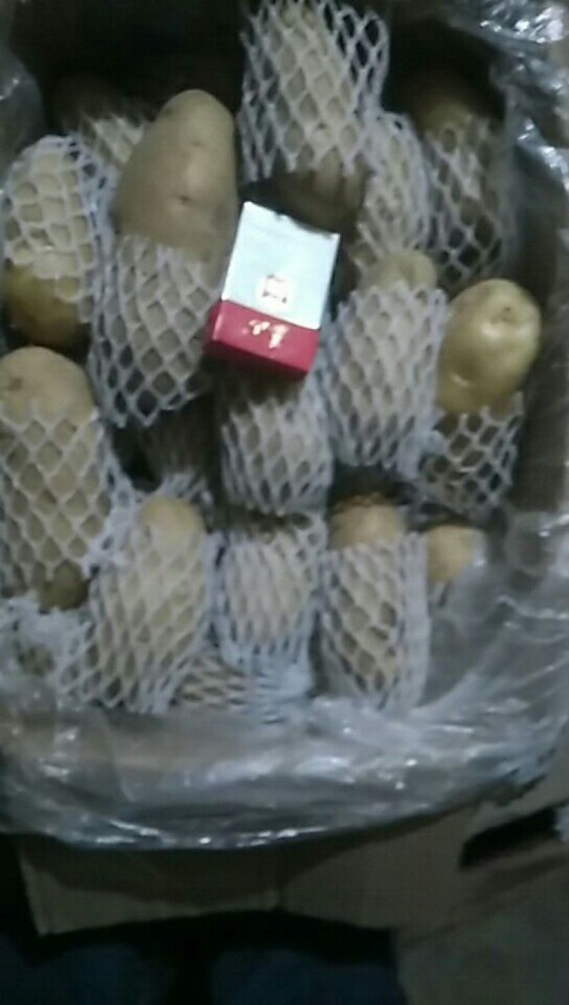 荷兰十五土豆精品四两无黑心无芽