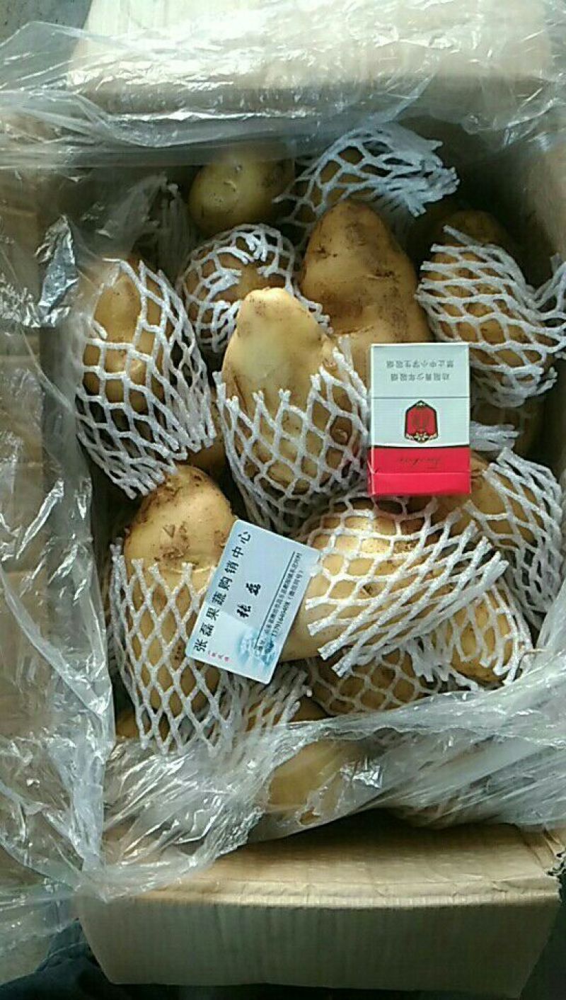 荷兰十五土豆精品四两无黑心无芽