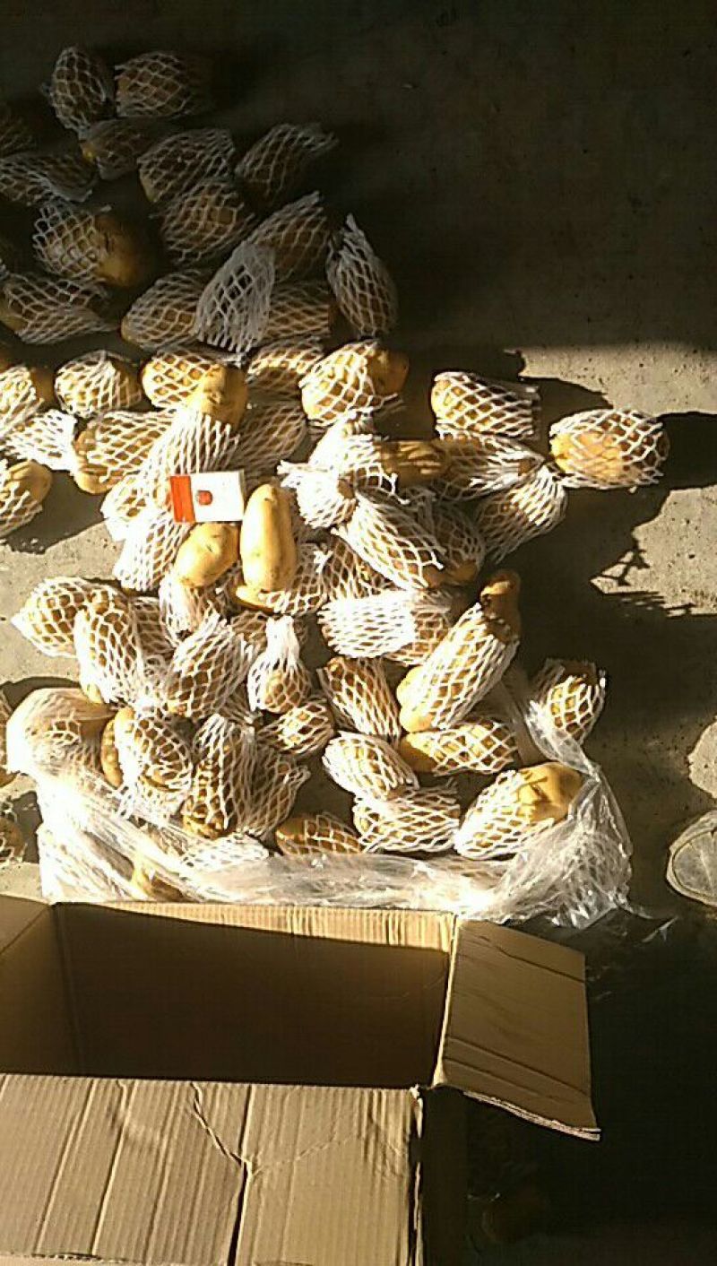 荷兰十五土豆精品四两无黑心无芽