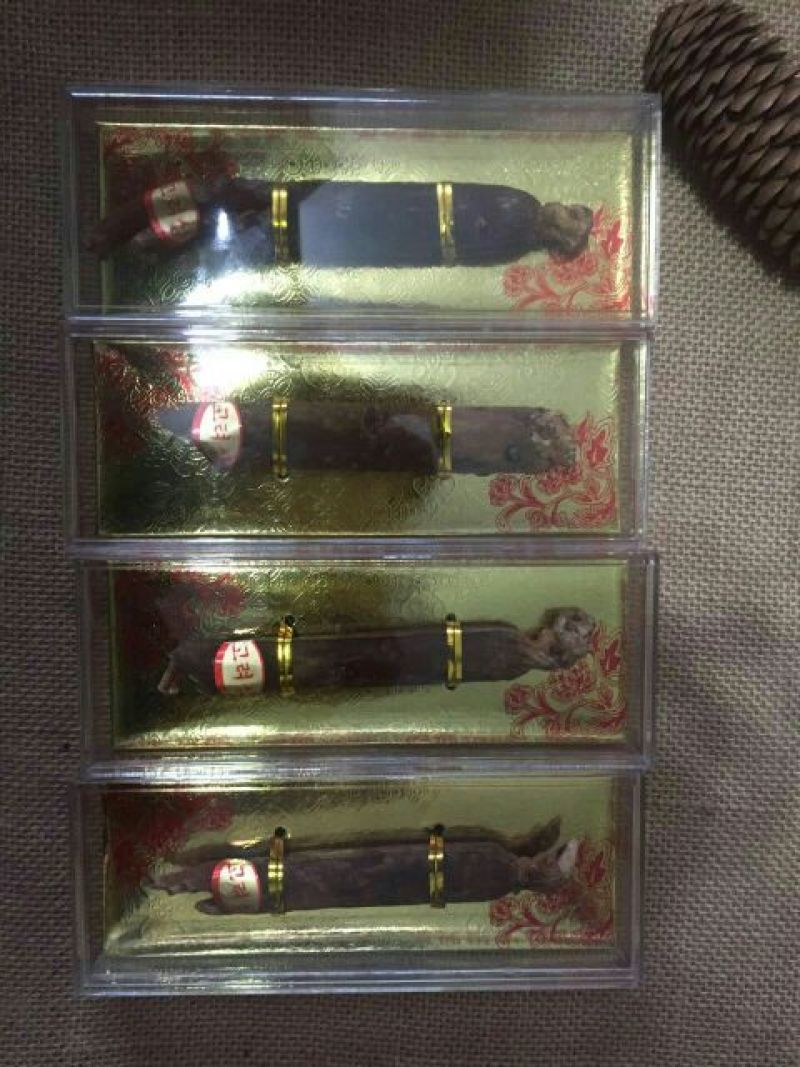 高丽参