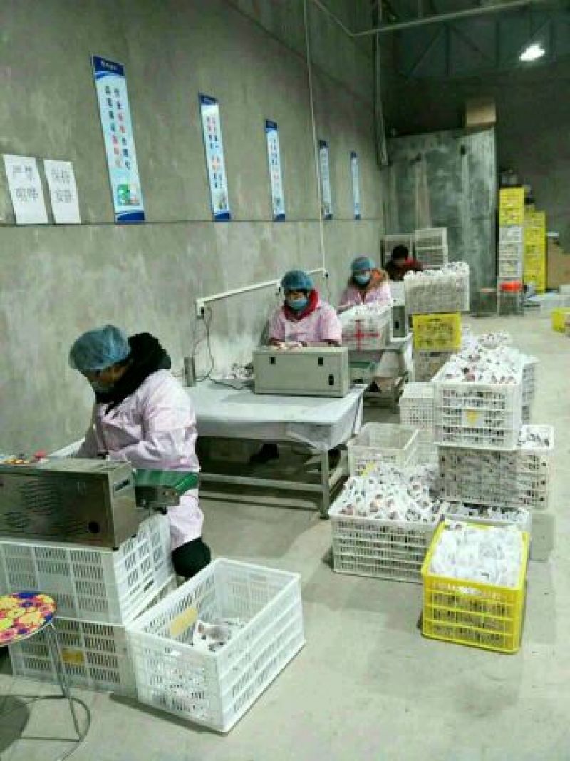 渭南柿饼诚招全国大客商采购电商供应链社区团购瓜果商超