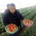 陕西渭南大棚草莓诚招全国各地客商采购电商供应链社区团购