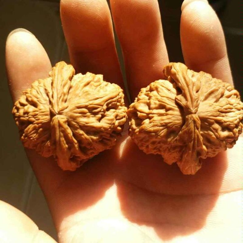 文玩核桃