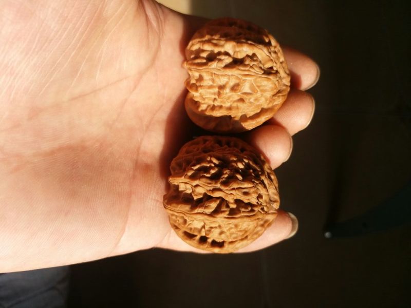 文玩核桃