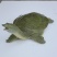 生态甲鱼1.5~2斤