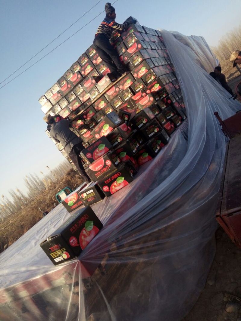 代发/整车/阿克苏冰糖心苹果整车发货一条龙