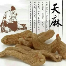 天麻一级