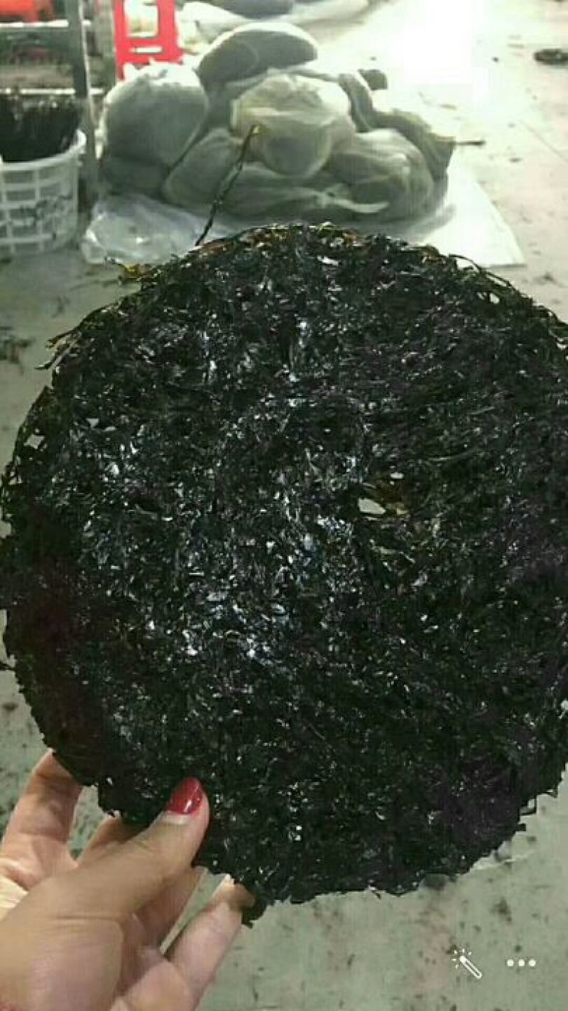 紫菜人工养殖，(色黑叶嫩，免洗无沙，5斤起发货。。。