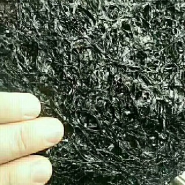 紫菜人工养殖，(色黑叶嫩，免洗无沙，5斤起发货。。。