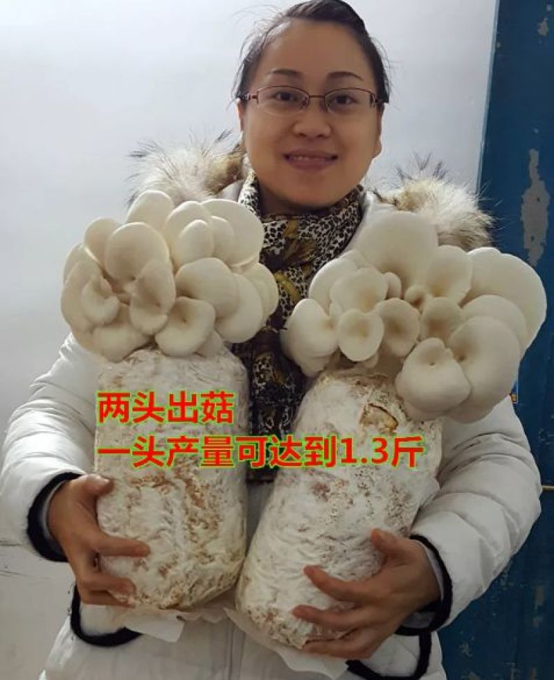 菌棒