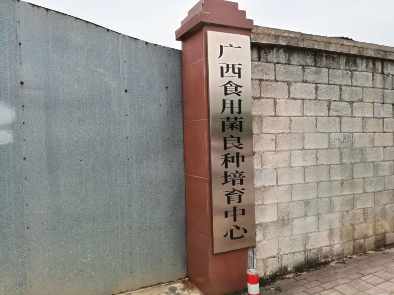 菌棒平菇、香菇菌种