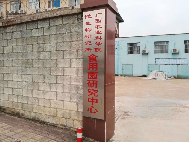 菌棒平菇、香菇菌种