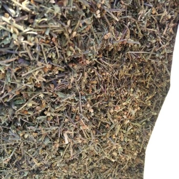 半枝莲全草头茬