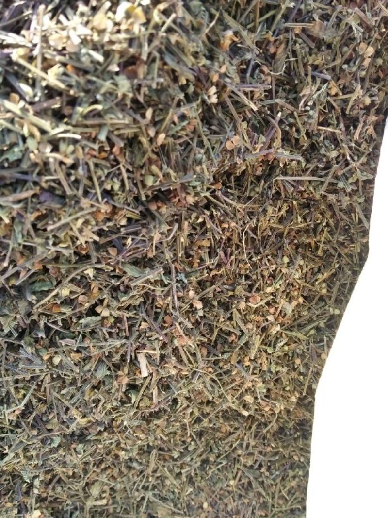 半枝莲全草头茬
