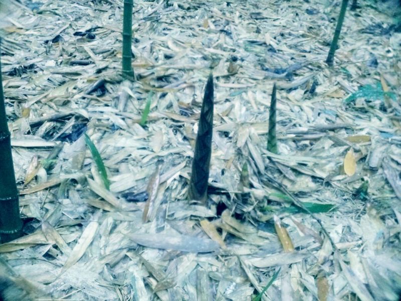 空闲用地出租10~30年1001~5000亩