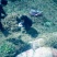 空闲用地出租10~30年1001~5000亩