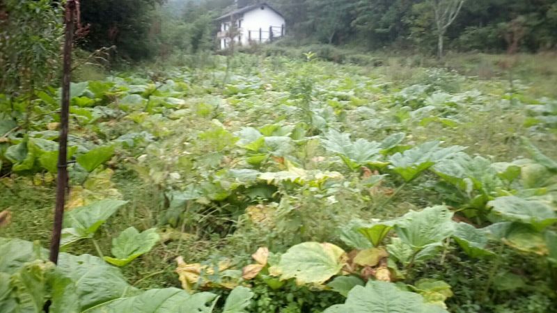 空闲用地出租10~30年1001~5000亩