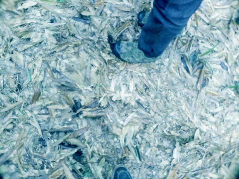 空闲用地出租10~30年1001~5000亩