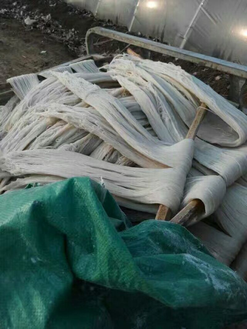 红薯粉丝散装