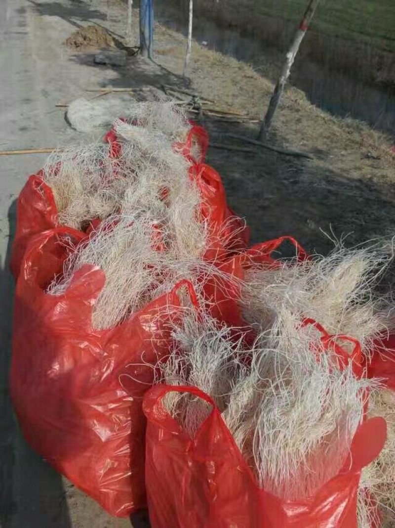 红薯粉丝散装