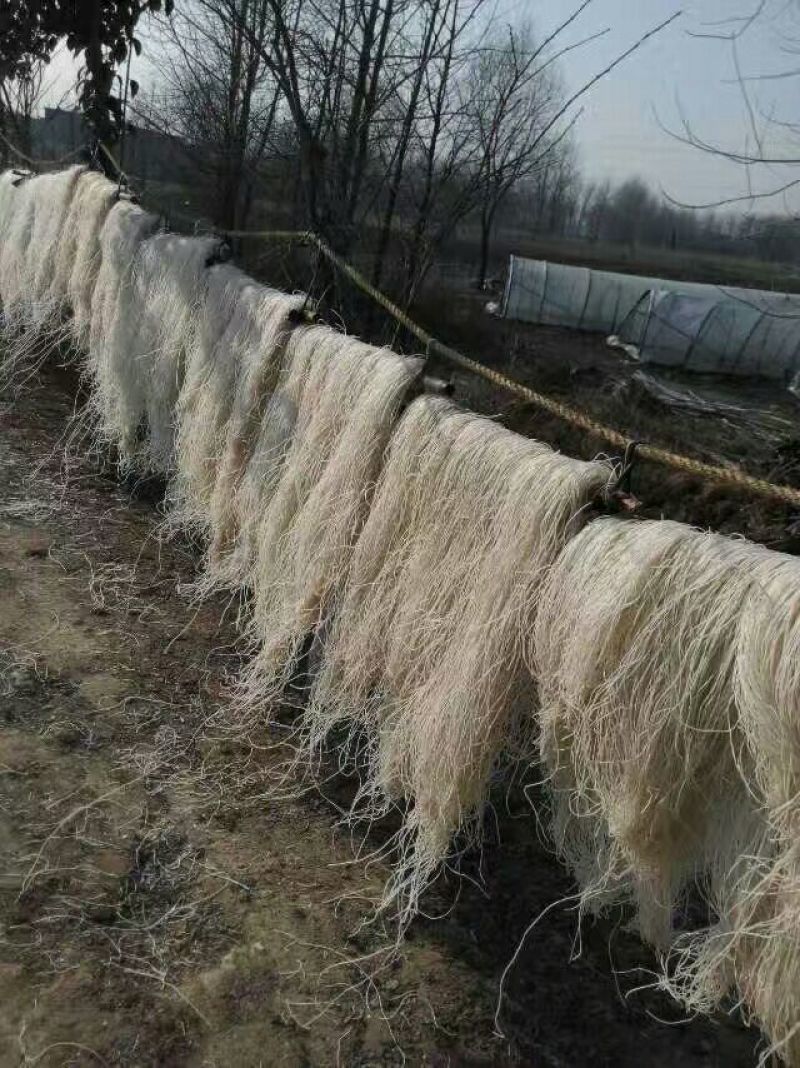 红薯粉丝散装