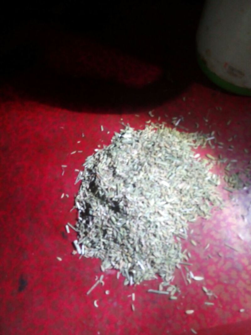 茴香籽