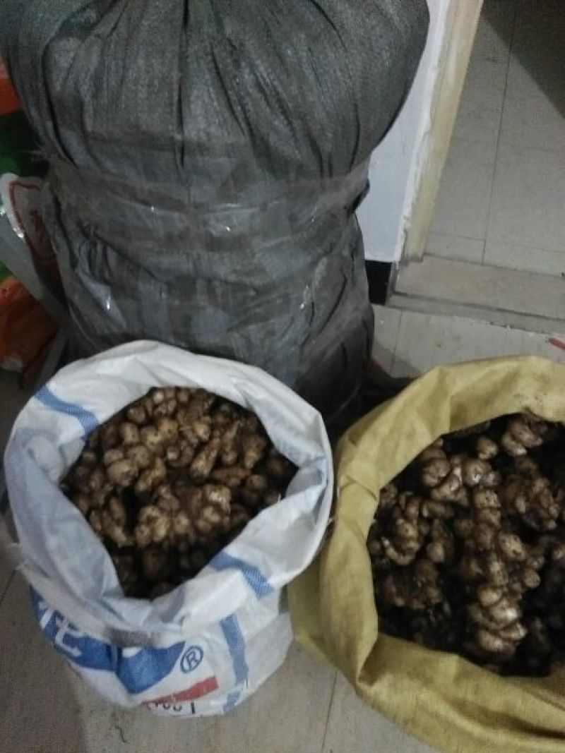 沙姜袋装，价钱便宜特别好的货，一手货源，要货可以联系