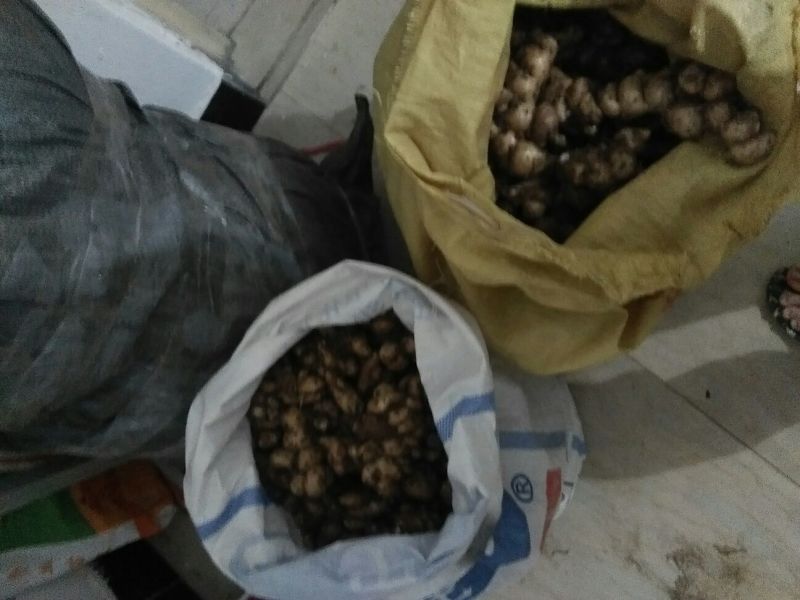 沙姜袋装，价钱便宜特别好的货，一手货源，要货可以联系