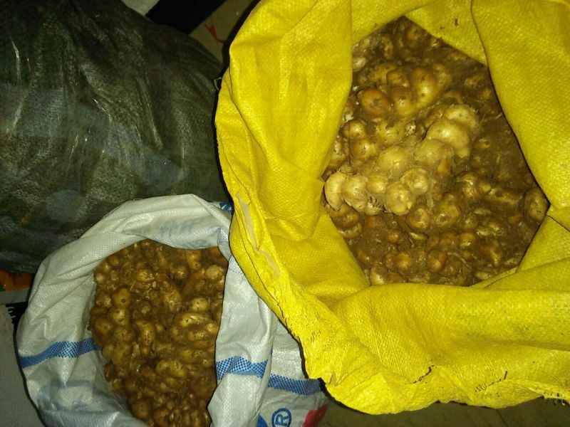 沙姜袋装，价钱便宜特别好的货，一手货源，要货可以联系