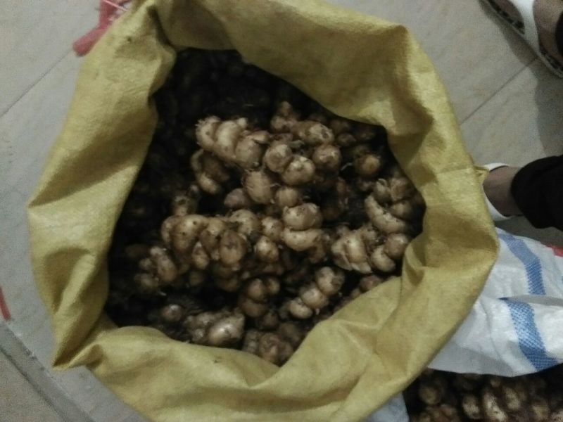 沙姜袋装，价钱便宜特别好的货，一手货源，要货可以联系