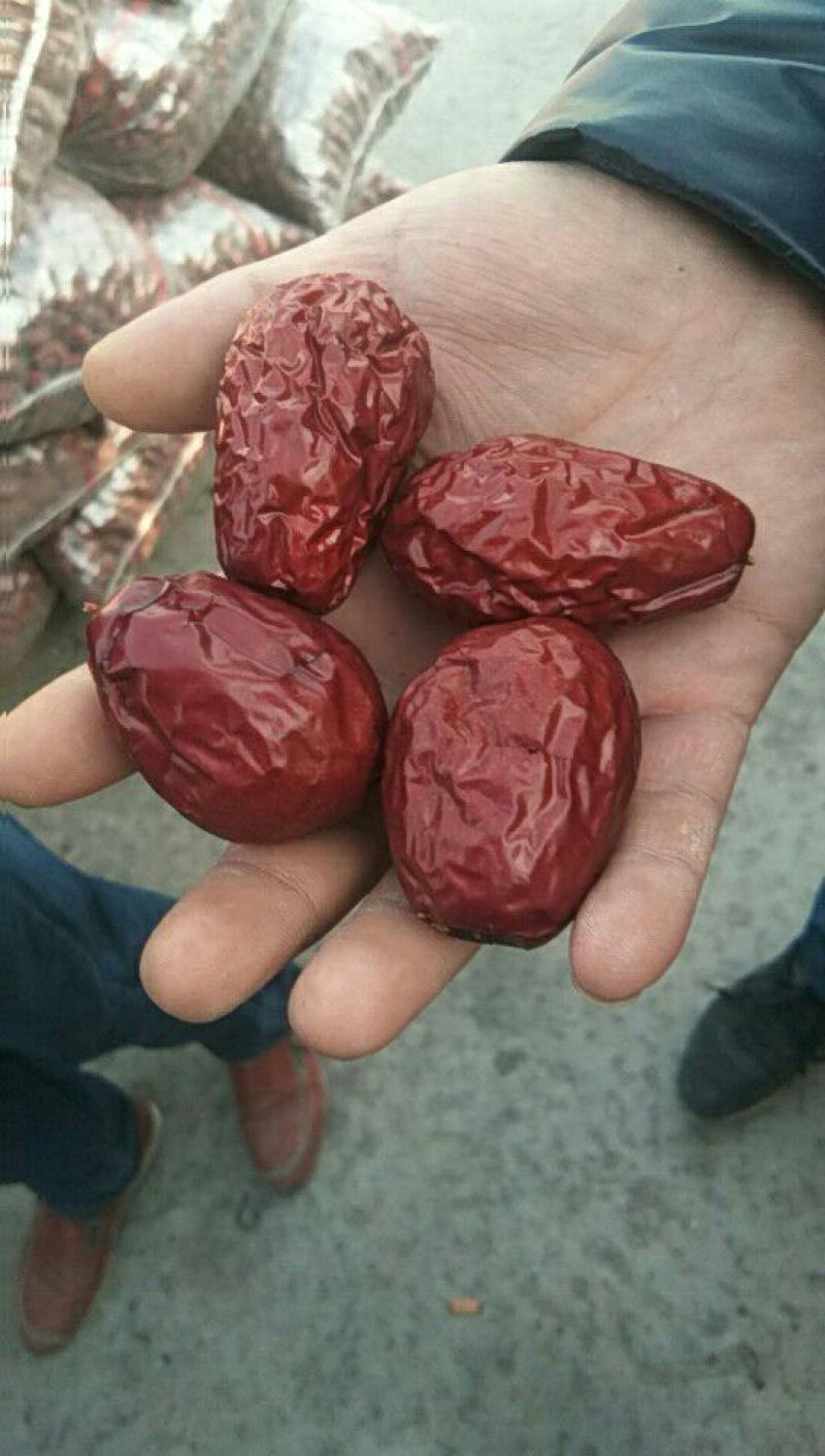 骏枣二级干枣