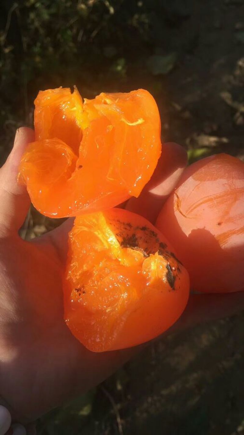 柿饼1~2两
