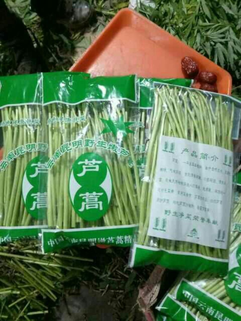 芦篙