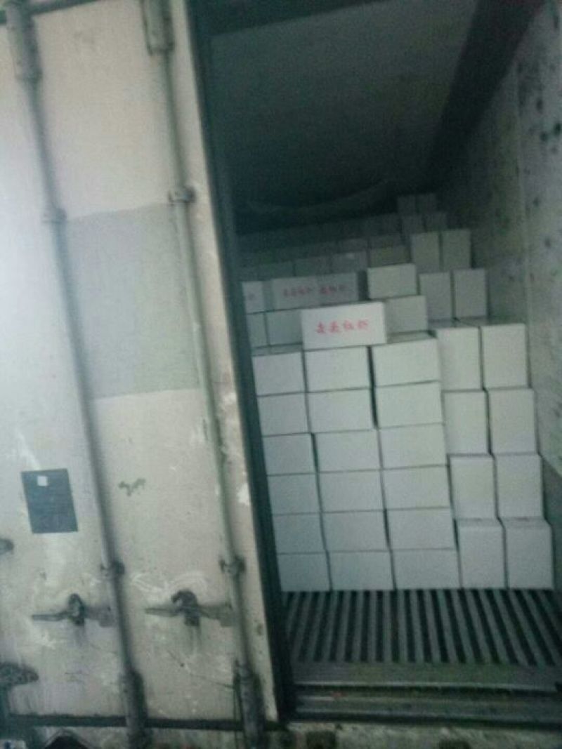 阿根廷红虾L1