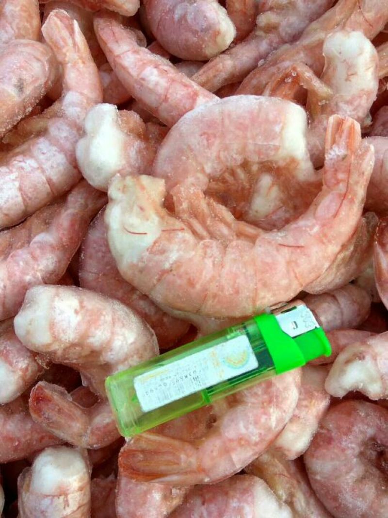 阿根廷红虾L1